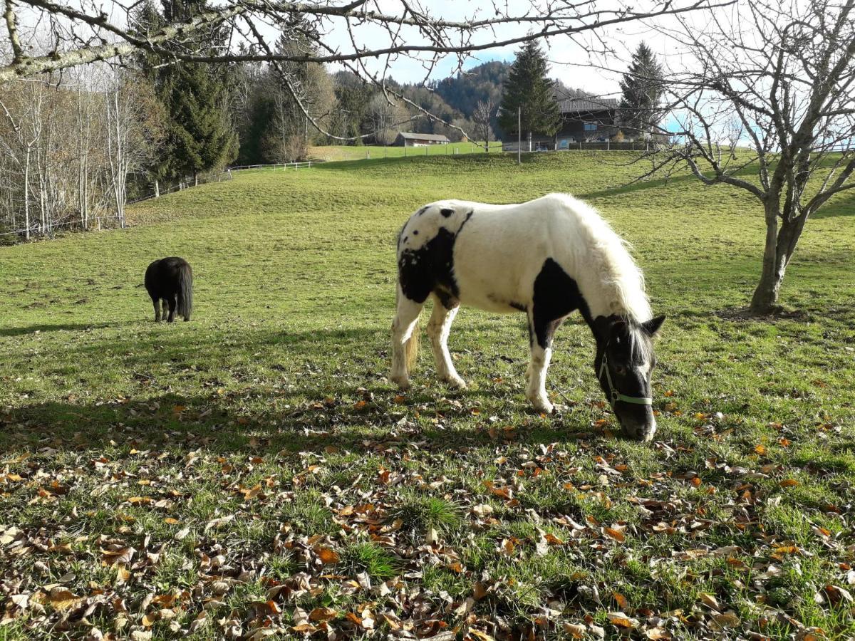 Haus Hagspiel Villa Hittisau Kültér fotó