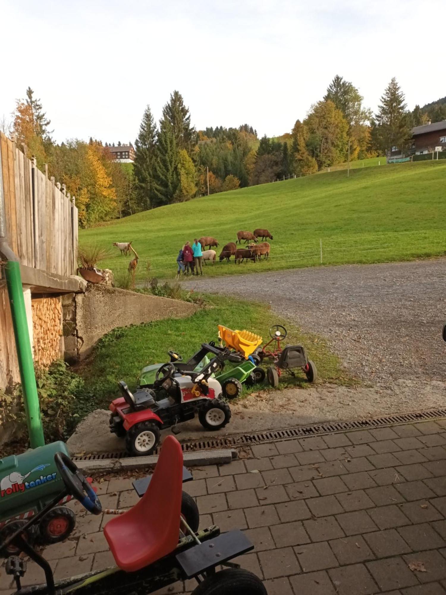 Haus Hagspiel Villa Hittisau Kültér fotó