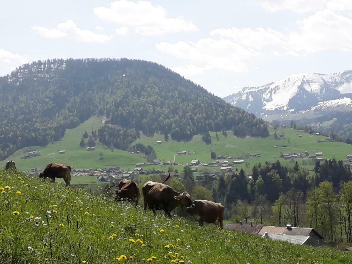 Haus Hagspiel Villa Hittisau Kültér fotó