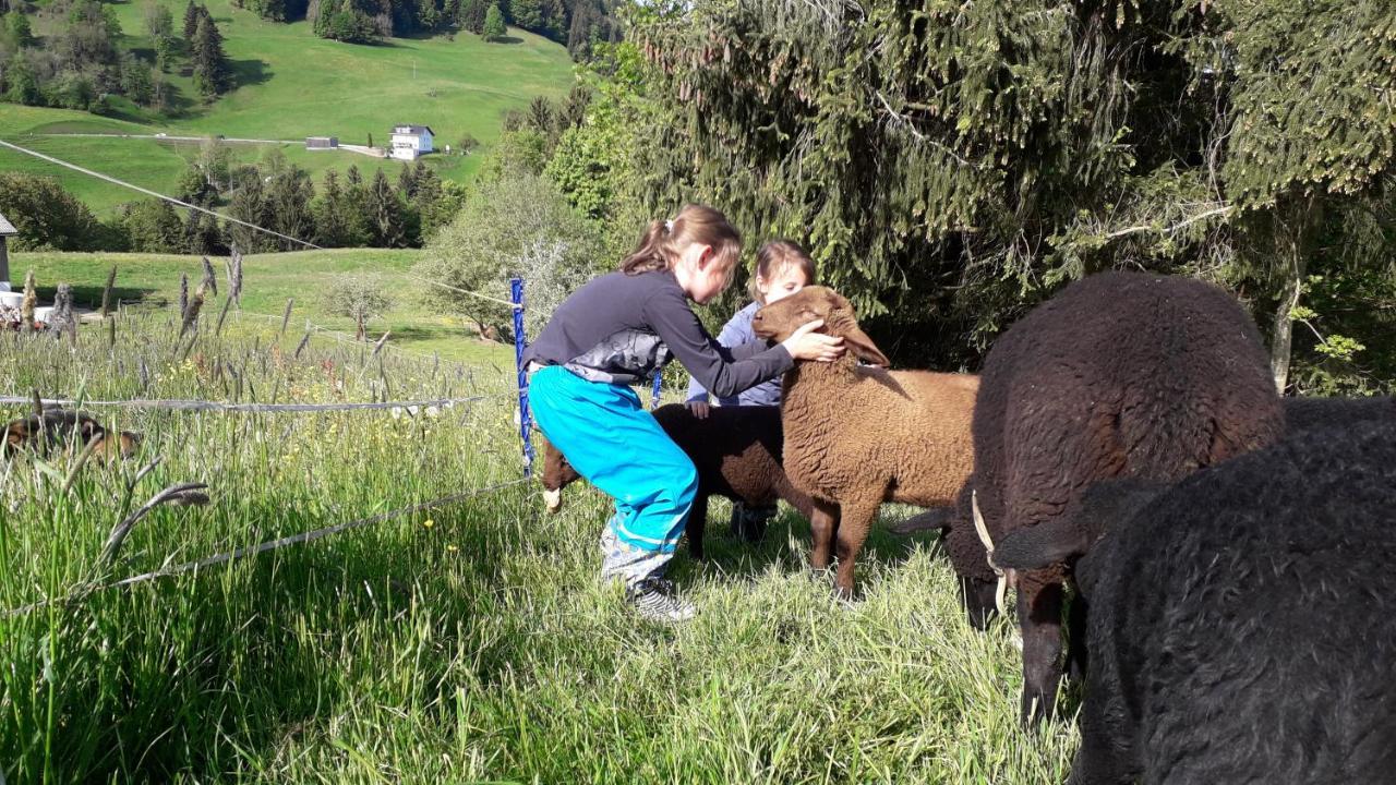 Haus Hagspiel Villa Hittisau Kültér fotó