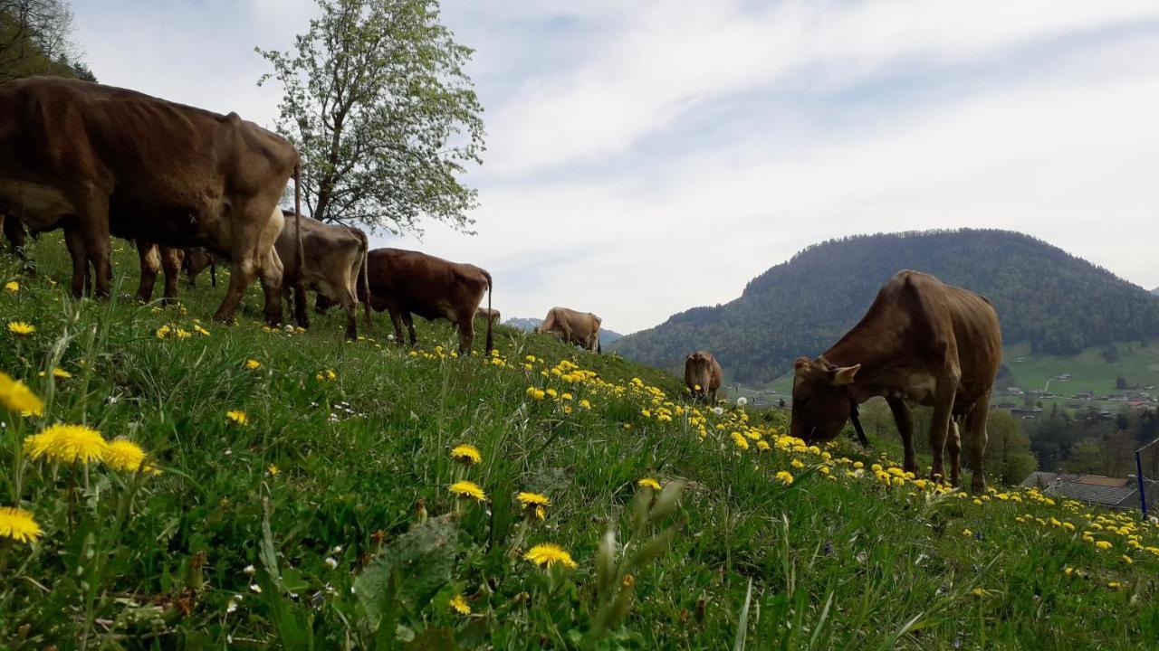 Haus Hagspiel Villa Hittisau Kültér fotó